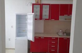 Apartament 2 camere, 55 mp, semidecomandat, Pacurari
