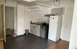 Apartament de 2 camere, decomandat, 45mp, zona Copou