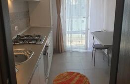 Apartament 1 camera 40 mp, semidecomandat, Tudor Vladimirescu