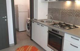 Apartament 1 camera 40 mp, semidecomandat, Tudor Vladimirescu