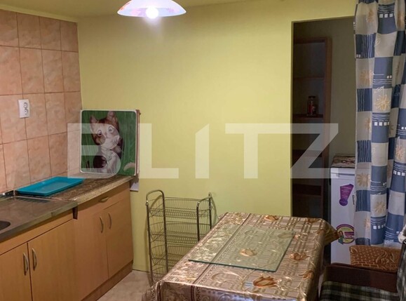 Garsonieră de închiriat Podul de Piatra - 118853AI | BLITZ Iași | Poza4