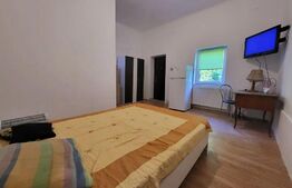 Apartament 1 camera, 27 mp, Copou