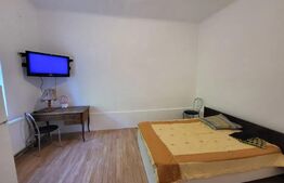 Apartament 1 camera, 27 mp, Copou