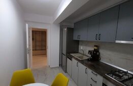 Apartament de 2 camere, decomandat, 60mp, zona Valea Lupului