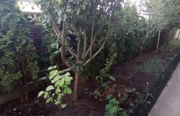 Casa de 4 camere, 400mp, zona Valea Lupului