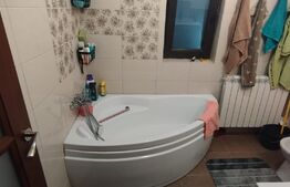 Casa de 4 camere, 400mp, zona Valea Lupului