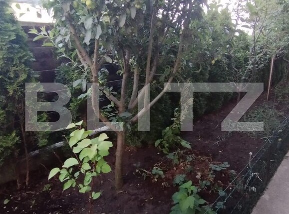 Casa de vânzare 4 camere Valea Lupului - 119205CV | BLITZ Iași | Poza8