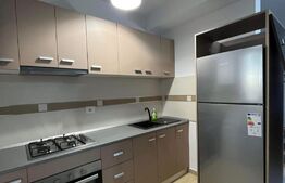 Apartament de 2 camere, semidecomandat, 55mp, zona Moara de Vant