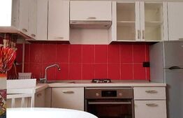 Apartament de 1 camera, 40 mp, decomandat zona Copou