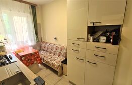 Apartament de 2 camere, circular, 55mp, parter, Piata Voievozilor