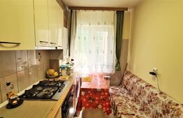 Apartament de 2 camere, circular, 55mp, parter, Piata Voievozilor