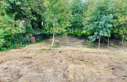 Teren, 1100 mp, Gradina Botanica