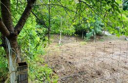 Teren, 1100 mp, Gradina Botanica