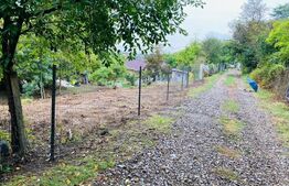 Teren, 1100 mp, Gradina Botanica