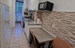 Apartament 1 camera, 31mp, Tudor Vladimirescu