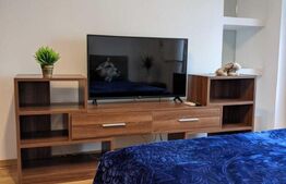 Apartament 1 camera, 40mp, decomandat, zona Garii