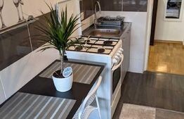 Apartament 1 camera, 40mp, decomandat, zona Garii