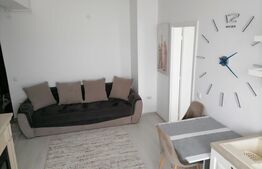 Apartament 2 camere, 44mp, semidecomandat, Moara de Foc