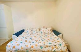 Apartament 1 camera, 35mp, Copou