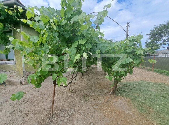 Casa de vânzare 3 camere Cantemir - 120016CV | BLITZ Iași | Poza1