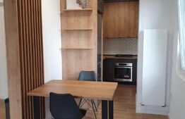 Apartament de 2 camere, semidecomandat, 48mp, zona Tatarasi ( One Residence) 