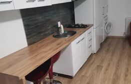 Apartament de 1 camera, decomandat, 45mp, zona Păcurari 