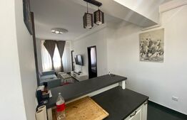 Apartament 2 camere 50 mp, etaj 10/10, zona Pacurari