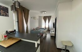 Apartament 2 camere 50 mp, etaj 10/10, zona Pacurari