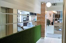 Apartament 1 camera, tip studio, 30mp, Palas 