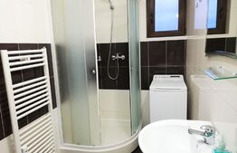 Apartament 1 camera, tip studio, 30mp, Palas 