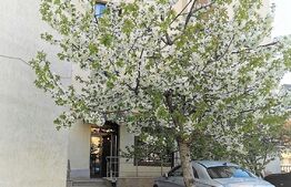 Apartament 1 camera, tip studio, 30mp, Palas 