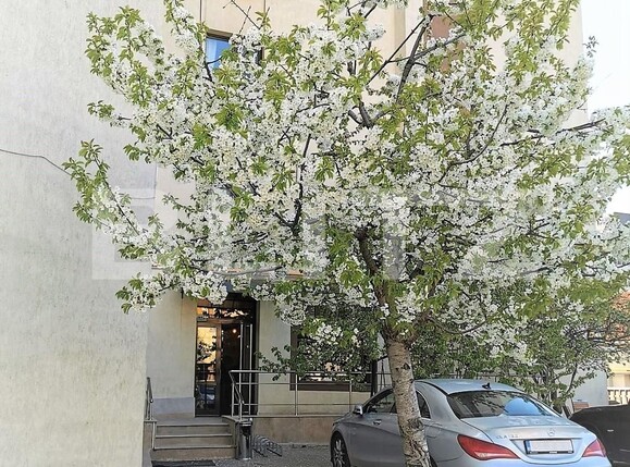 Garsonieră de închiriat Palat - 120754AI | BLITZ Iași | Poza5