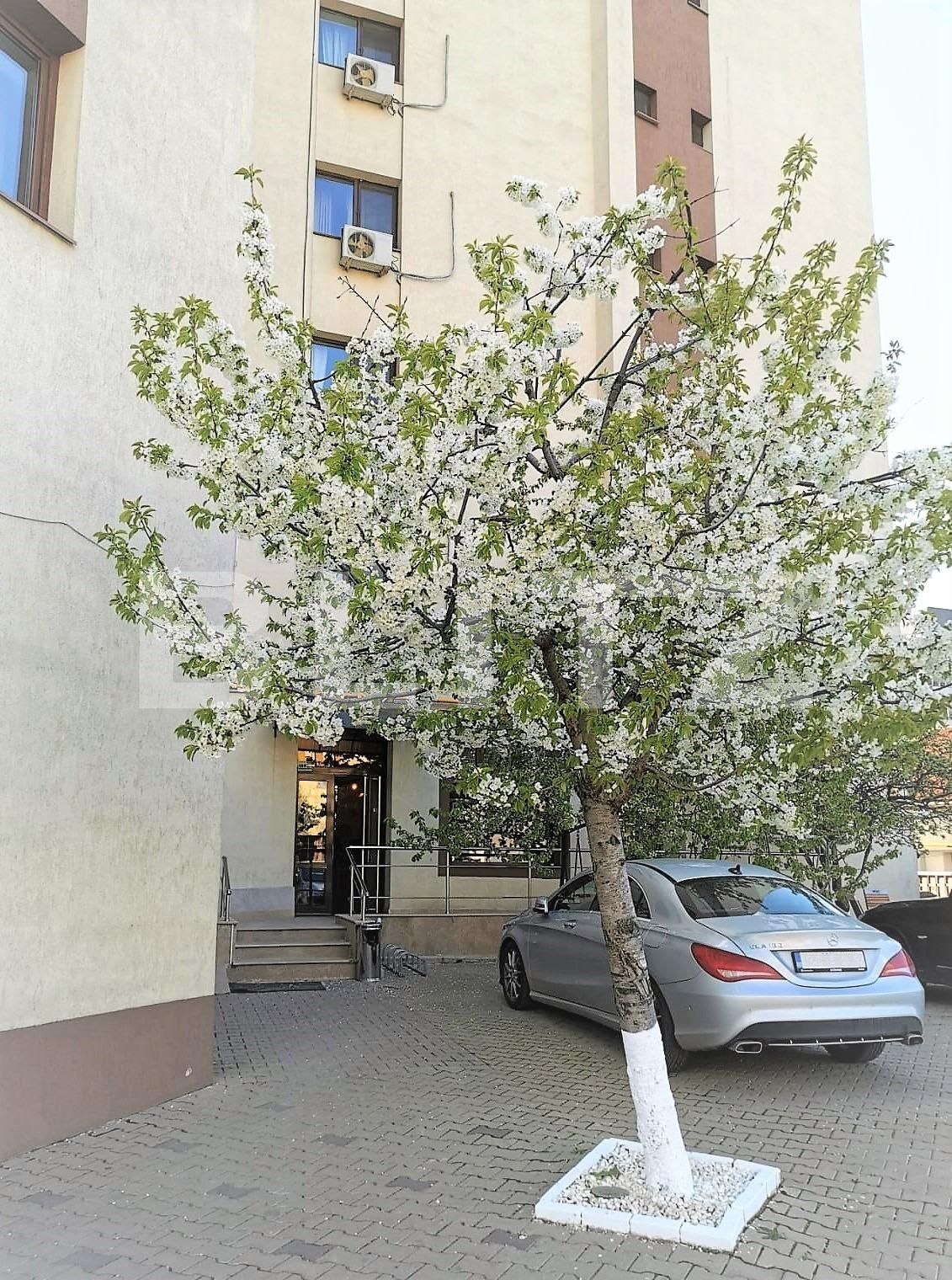 Garsonieră de închiriat Palat - 120754AI | BLITZ Iași | Poza5