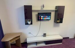 Apartamente 1 camera, tip studio, 20mp, Copou