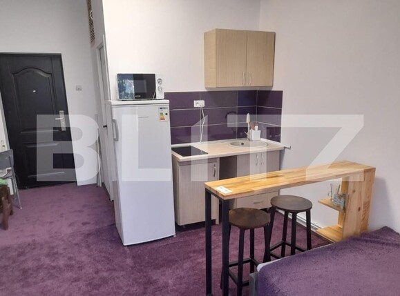 Garsonieră de închiriat Copou - 120757AI | BLITZ Iași | Poza2