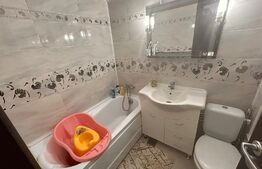 Apartament cu 2 camere, zona Nicolina, 30 mp