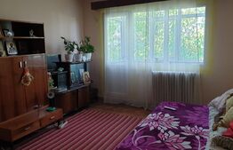 Apartament 2 camere, semidecomandat, 50 mp, Podu Ros 