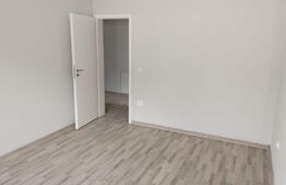 Apartament 1 camera, 31 mp, Hlincea