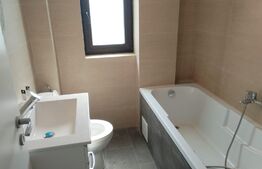 Apartament 1 camera, 31 mp, Hlincea