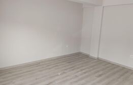 Apartament 1 camera, 35 mp, Hlincea