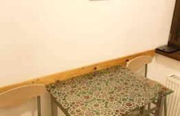 Apartament 1 cameră, 30mp, zona Centrală