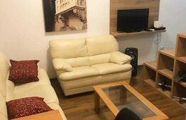 Apartament 1 cameră, 30mp, zona Centrală