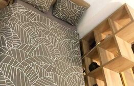 Apartament 1 cameră, 30mp, zona Centrală