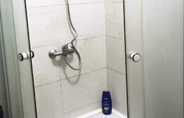 Apartament 1 cameră, 30mp, zona Centrală