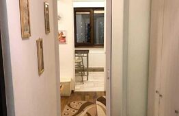 Apartament 1 cameră, 30mp, zona Centrală