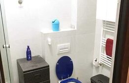 Apartament 1 cameră, 30mp, zona Centrală