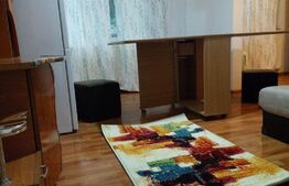 Apartament 2 camere, 50mp, Podu Roș