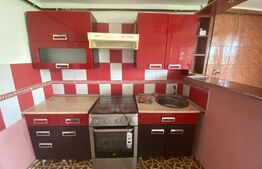 Apartament 3 camere, 45mp, zona Pacurari