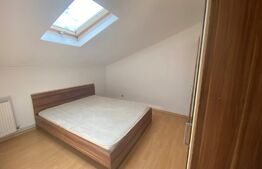 Apartament 3 camere, 45mp, zona Pacurari