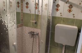 Apartament 1 cameră, 30MP, zona Centrală